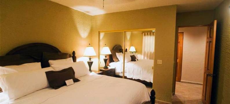 凯隆套房酒店-菠萝别墅罗阿坦(Clarion Suites Roatan at Pineapple Villas)图片