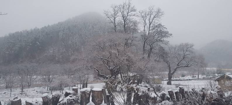 月光之家酒店(Moonlight House)图片