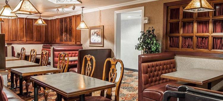 舒适套房酒店(Comfort Suites)图片