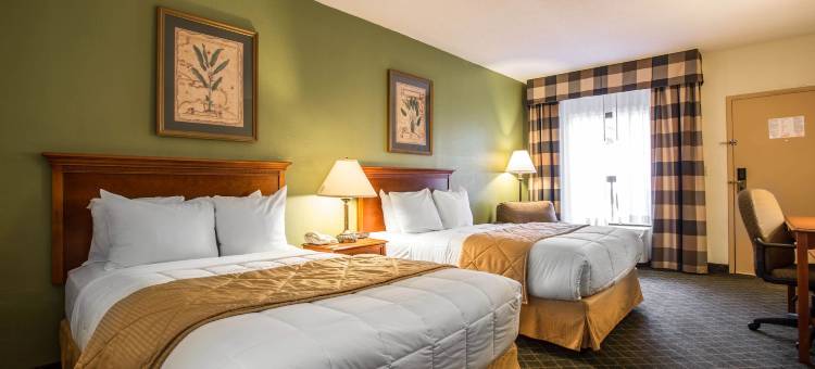 艾肯南克拉丽奥酒店及套房(Clarion Inn & Suites Aiken South)图片