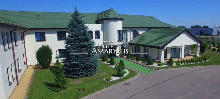 阿玛丽利斯酒店(Hotel Amaryllis)图片