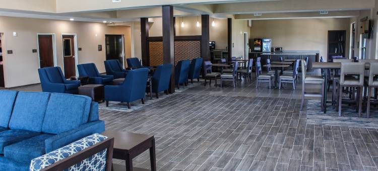 南奥斯汀舒适套房酒店(Comfort Suites - South Austin)图片