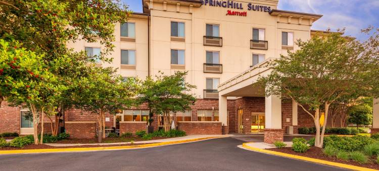 南拉斐特里弗兰奇万豪SpringHill酒店(SpringHill Suites Lafayette South at River Ranch)图片