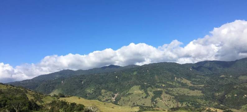 玛丽丝家庭旅馆(Maris B&B)图片