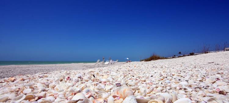 埃兰德旅馆(Island Inn)图片