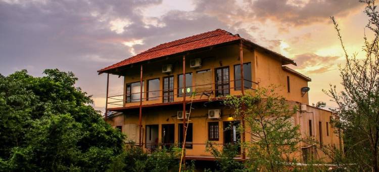 马胡阿托拉塔多巴(Mahua Tola Tadoba)图片