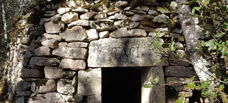 塔里豪宅酒店(La Maison de Tari)图片