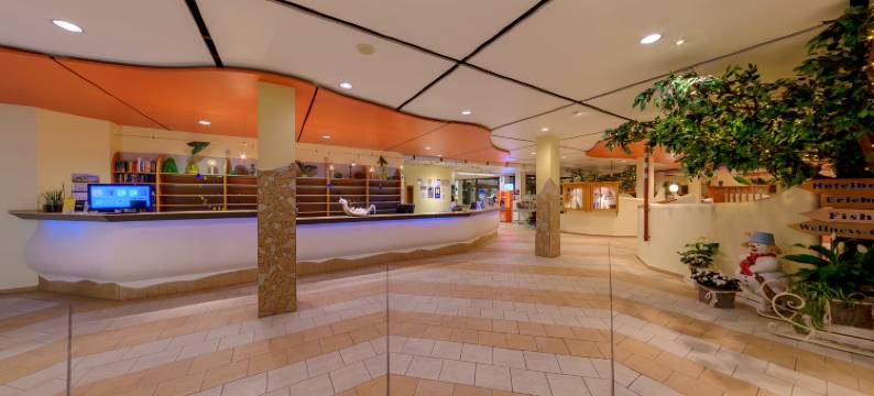 IFA舍内克洛普森酒店&度假村(IFA Schöneck Hotel & Ferienpark)图片