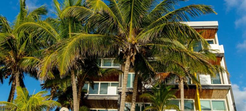 Nah酒店的安吉利娜28海滨(Angelina 28 Beachfront by Nah Hotels)图片