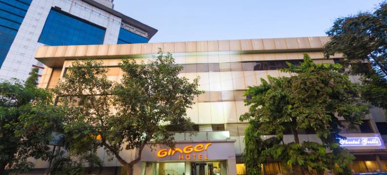 塞恩精吉尔酒店(Ginger Thane)图片