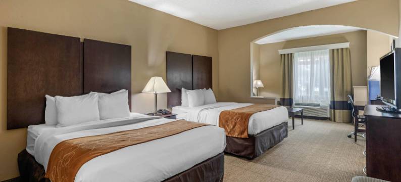 舒适套房酒店-克洛尼普莱诺西(Comfort Suites the Colony - Plano West)图片