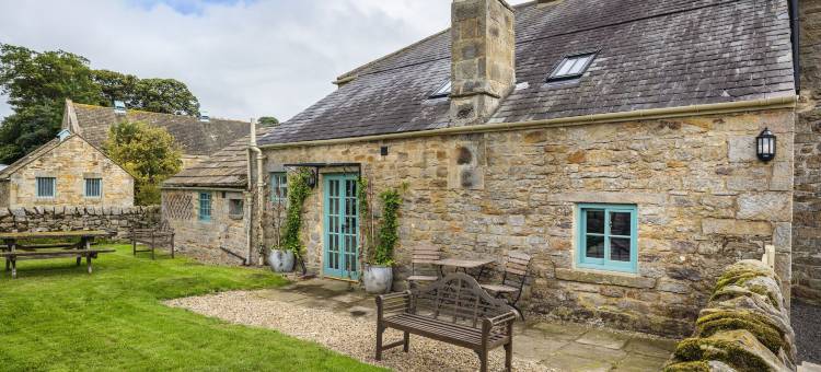 希利大厅(Healey Hall)图片