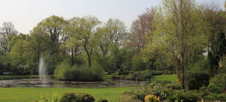 屯特罗斯(Het Ros Van Twente)图片