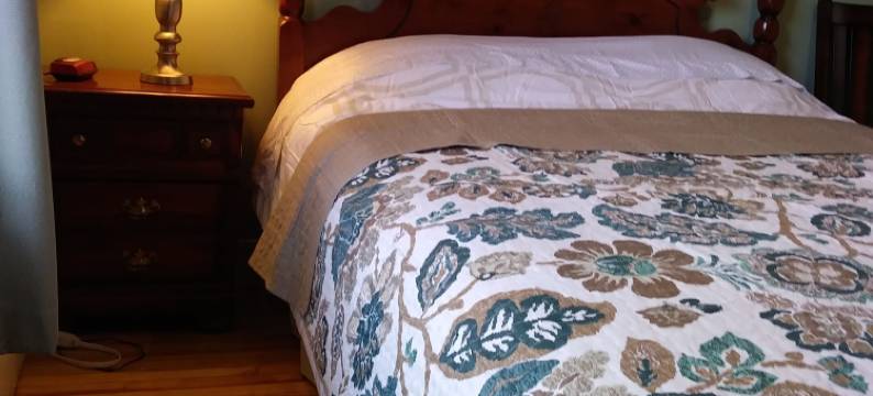 荣耀贵宾套房酒店 - 蒙顿市中心(Glory Guest Suites, Downtown Moncton)图片