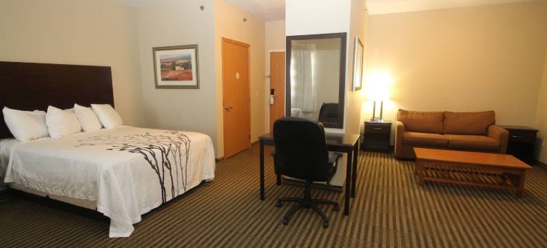 包曼套房酒店(Bowman Inn and Suites)图片