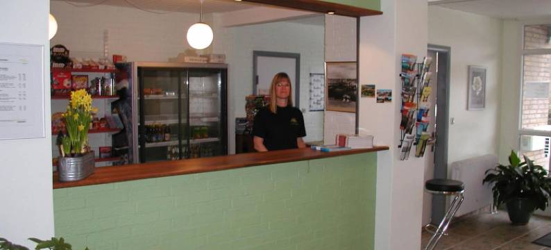 霍吕斯特酒店(Fjordlyst Hotel)图片