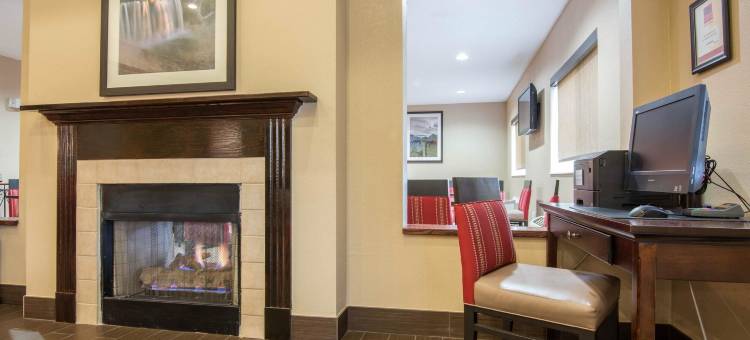 舒适套房酒店罗切斯特亨利埃塔大学区(Comfort Suites Rochester Henrietta University Area)图片