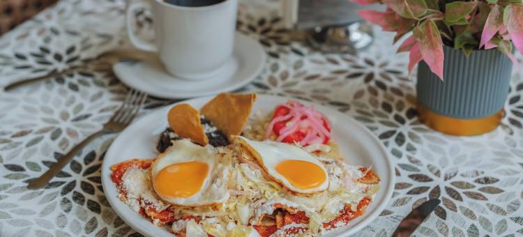 卡维亚拉卡索纳精品酒店(Hotel Boutique la Casona by Kavia)图片