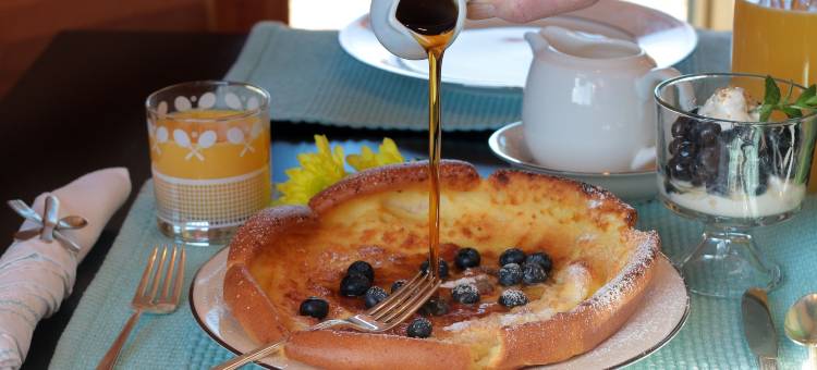 康特伍德旅馆(Courtwood Inn)图片