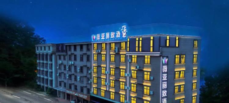 薇亚丽致酒店(金华婺城区店)图片