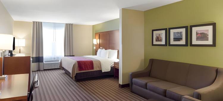 费耶特维尔大学区舒适套房酒店(Comfort Inn & Suites Fayetteville-University Area)图片