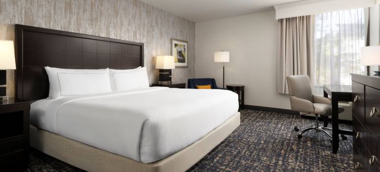 里士满中洛锡安希尔顿逸林酒店(DoubleTree by Hilton Richmond - Midlothian)图片