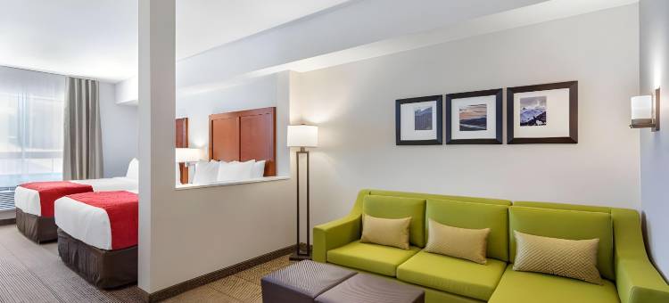 舒适套房酒店(Comfort Inn & Suites)图片