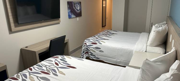 红屋顶PLUS+布鲁克林-弗拉特布什大道(Red Roof PLUS+ Brooklyn - Flatbush Ave)图片