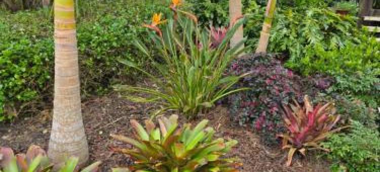 奥内罗纳秘密花园公寓(Oneroa Secret Garden Apartments)图片