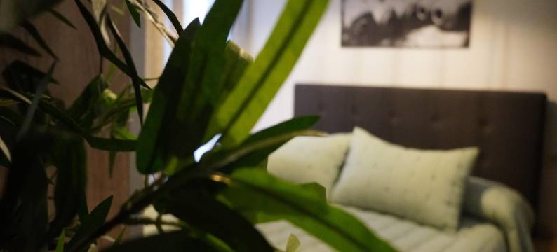 Apartment in Montilla near Palacio Medinaceli图片