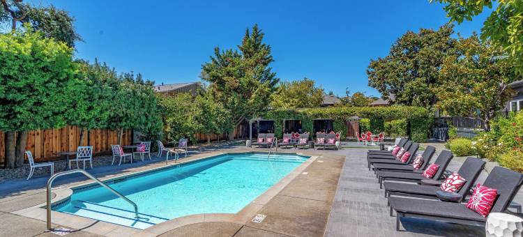 纳帕白屋(White House Napa)图片