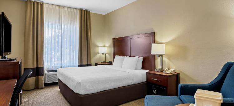 品质酒店套房欧文-拉斯科利纳斯(Quality Suites Irving-Las Colinas)图片