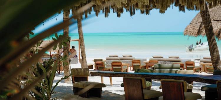 卡萨拉斯托尔图加斯珀蒂海滩酒店及水疗中心(Casa Las Tortugas Petit Beach Hotel & Spa)图片