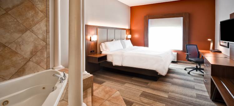 谢勒维尔智选假日酒店(Holiday Inn Express & Suites Schererville)图片