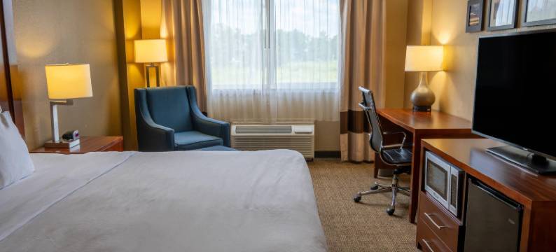 北莱克兰I-4舒适套房酒店(Comfort Inn & Suites Lakeland North I-4)图片