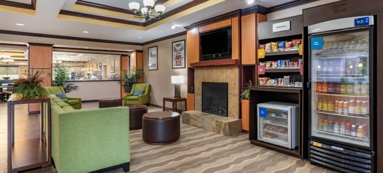 维克斯堡舒适套房酒店(Comfort Suites)图片