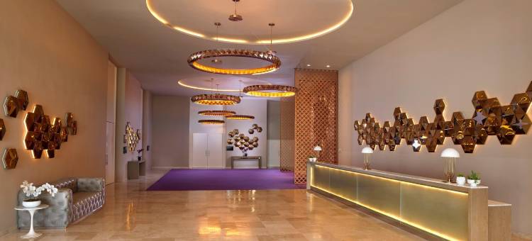 洛斯卡波斯天堂全包式度假村 – 限成人(Paradisus Los Cabos - Adults Only)图片