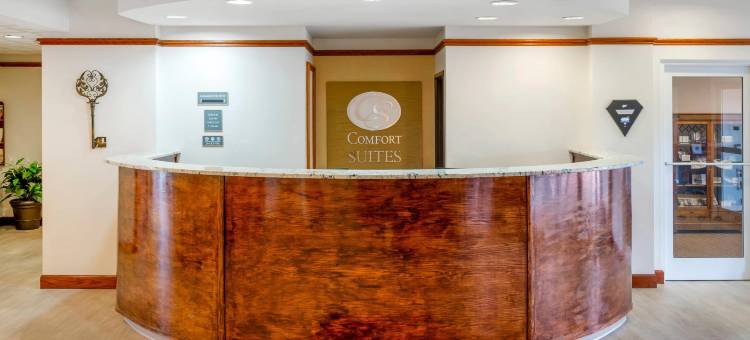 舒适套房酒店(Comfort Suites French Lick)图片