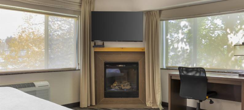 麦考尔贝斯特韦斯特优质套房酒店(Best Western Plus McCall Lodge  Suites)图片