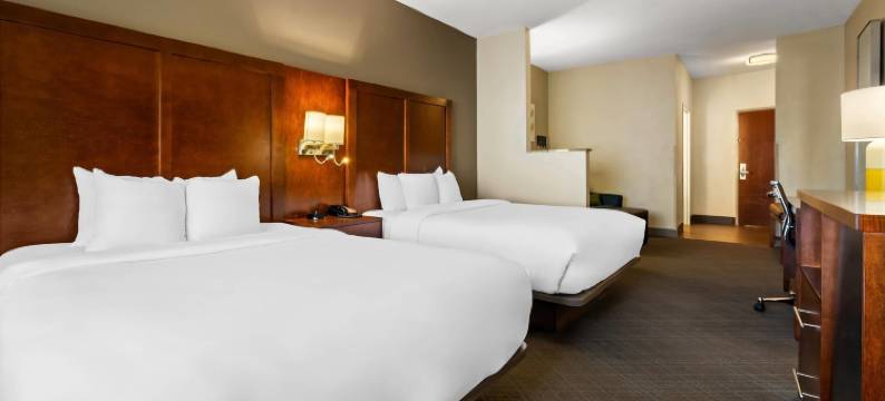 库尔曼I-65号310出口舒适套房酒店(Comfort Suites Cullman I-65 Exit 310)图片