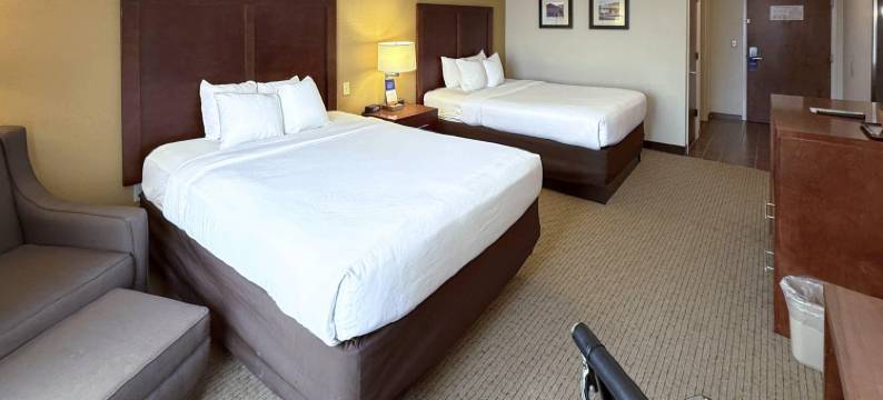 舒适酒店及套房罗杰斯维尔(Comfort Inn & Suites)图片