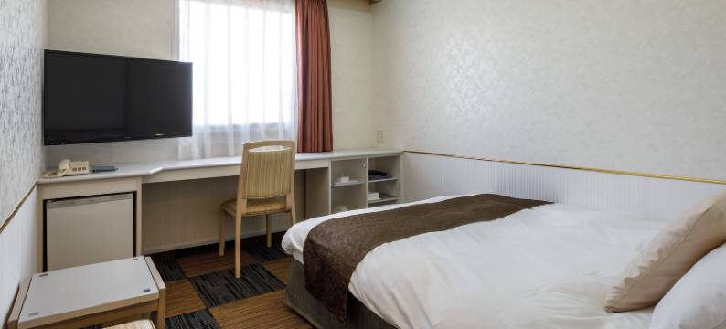 新泻迪亚蒙托酒店(Hotel Diasmont Niigata)图片