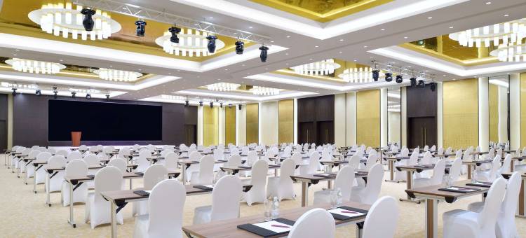利雅得米尼哈尔丽笙酒店及会议中心(Radisson Blu Hotel and Convention Centre, Riyadh Minhal)图片