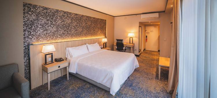 Holiday Inn 罗萨里奥(Holiday Inn ROSARIO by IHG)图片
