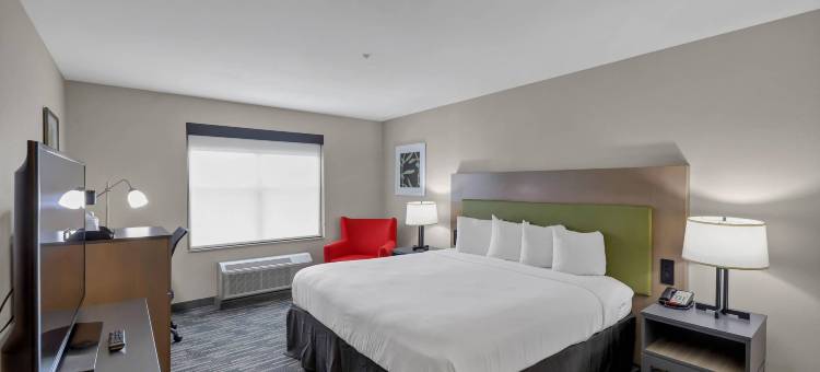 布拉塞尔顿丽怡酒店(Country Inn & Suites by Radisson, Braselton, GA)图片