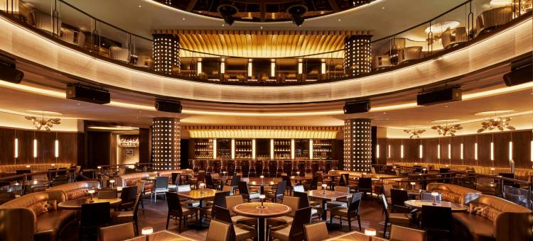 纽约硬石酒店(Hard Rock Hotel New York)图片