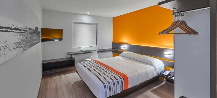 圣路易斯波托西卡兰萨万豪城市快捷青年酒店(City Express Junior by Marriott San Luis Potosi Carranza)图片