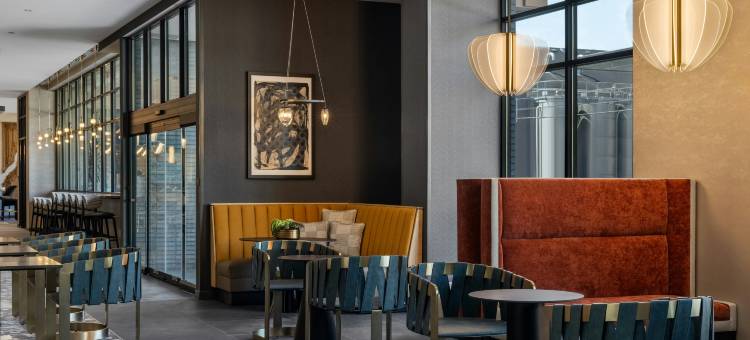 伦敦维尔Nulu的时尚希尔顿酒店(Tempo by Hilton Louisville Downtown NuLu)图片