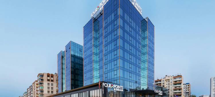 迪亚巴克尔福朋喜来登酒店(Four Points by Sheraton Diyarbakir)图片