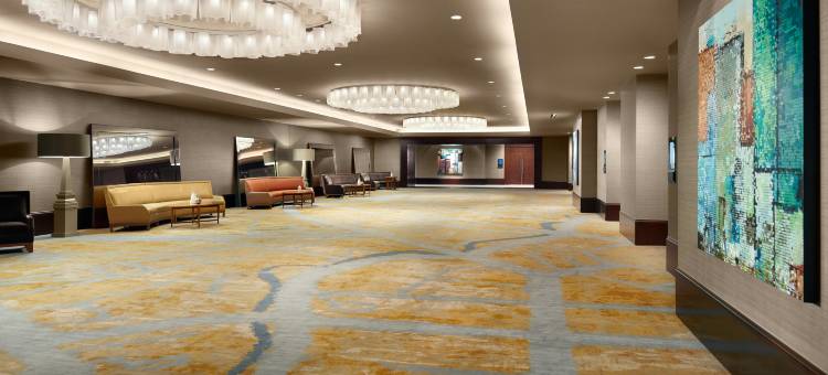 奥姆尼达拉斯酒店(Omni Dallas Hotel)图片